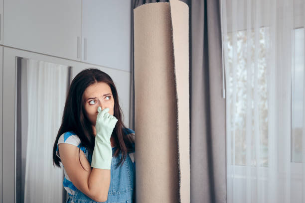 Best Black Mold Removal  in Hermosa Beach, CA